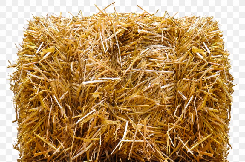 Straw-bale Construction Hay Baler, PNG, 1280x847px, Strawbale Construction, Agriculture, Avena, Baler, Cereal Download Free