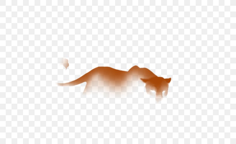 Cat Dog Desktop Wallpaper, PNG, 640x500px, Cat, Canidae, Carnivoran, Cat Like Mammal, Closeup Download Free