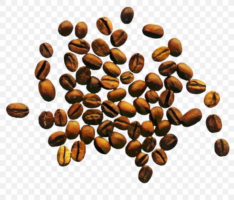 Chocolate-covered Coffee Bean Jamaican Blue Mountain Coffee Cafe, PNG, 1522x1298px, Coffee, Bean, Cafe, Chocolatecovered Coffee Bean, Cocoa Bean Download Free