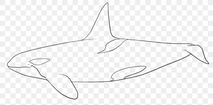 Line Art Marine Mammal Drawing, PNG, 1024x507px, Line Art, Art, Artwork, Black And White, Cartoon Download Free