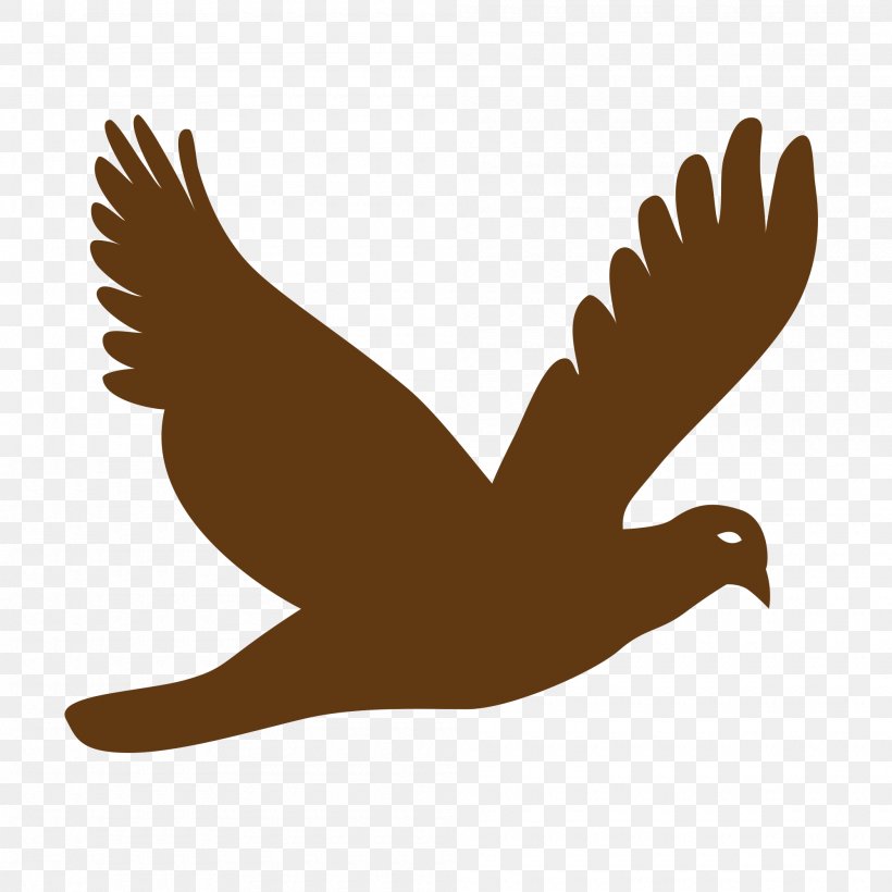 Bird Pigeons And Doves Vector Graphics Clip Art Flight, PNG, 2000x2000px, Bird, Beak, Bird Flight, Bird Of Prey, Chicken Download Free