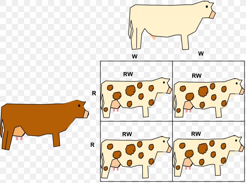 Codominance Allele Phenotype Gene, PNG, 1280x955px, Dominance, Abo ...