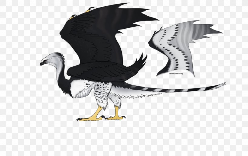 Eagle Water Bird Beak, PNG, 1024x646px, Eagle, Beak, Bird, Bird Of Prey, Cartoon Download Free