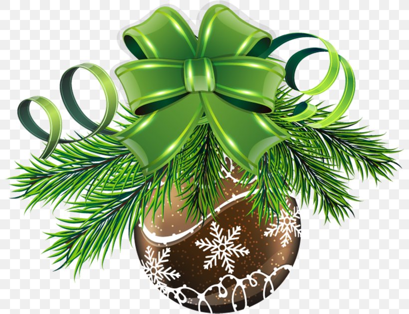 Fir Christmas Ornament Gift, PNG, 800x630px, Fir, Christmas, Christmas Decoration, Christmas Gift, Christmas Ornament Download Free
