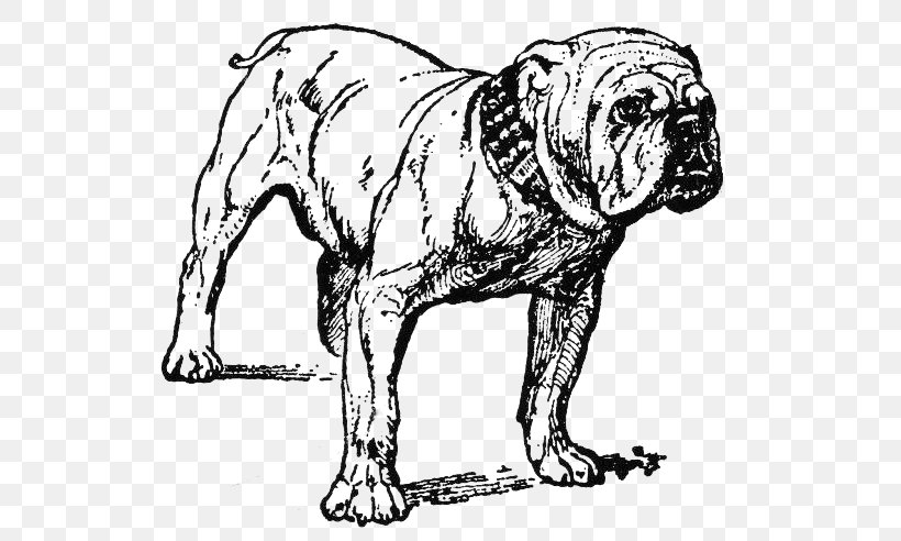French Bulldog Clip Art Vector Graphics Openclipart, PNG, 590x492px, Bulldog, Ancient Dog Breeds, Animal Figure, Australian Bulldog, Beagle Download Free