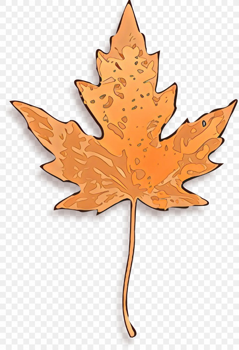 Maple Leaf, PNG, 1313x1920px, Cartoon, Black Maple, Deciduous, Leaf, Maple Download Free