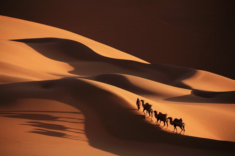 Sahara Camel Train Desktop Wallpaper Caravan, PNG, 1199x800px, Sahara, Aeolian Landform, Camel, Camel Train, Caravan Download Free