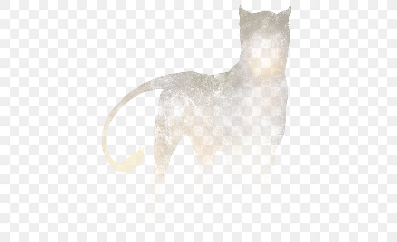 Whiskers Dog Cat Fur Snout, PNG, 640x500px, Whiskers, Carnivoran, Cat, Cat Like Mammal, Dog Download Free