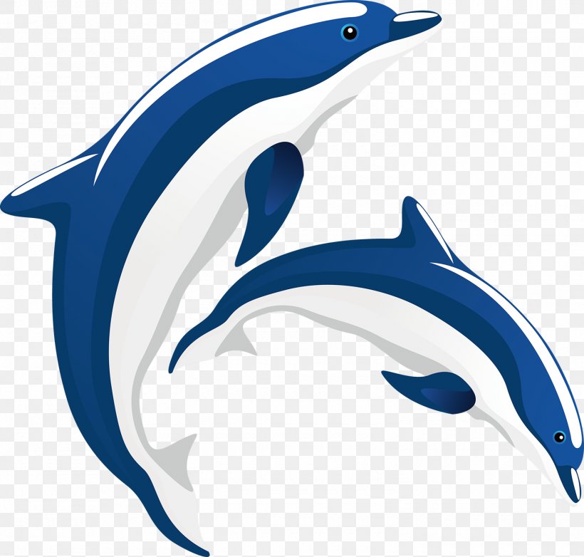 Common Bottlenose Dolphin Tucuxi Short-beaked Common Dolphin Painting, PNG, 1500x1431px, Common Bottlenose Dolphin, Animal Figure, Animated Cartoon, Animation, Automotive Design Download Free