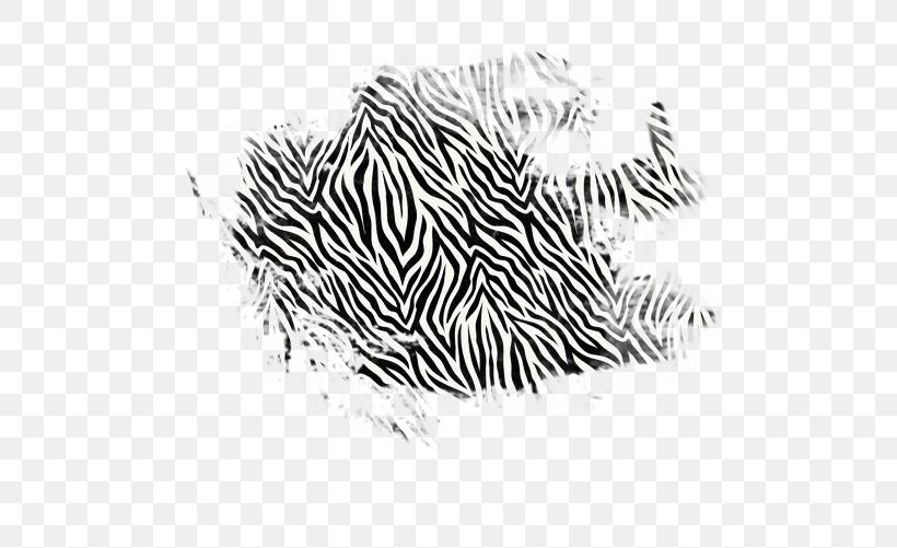 Zebra Tiger Cat Animal Print Pattern, PNG, 509x501px, Zebra, Animal, Animal Print, Big Cat, Big Cats Download Free