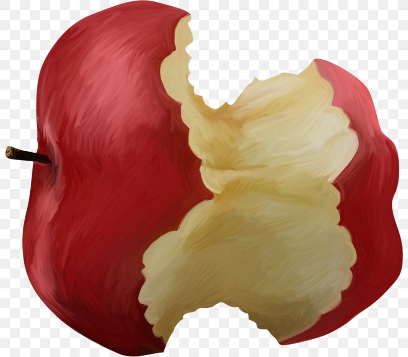 Apple Photography Clip Art, PNG, 800x718px, Apple, Designer, Food, Fruit, Petal Download Free