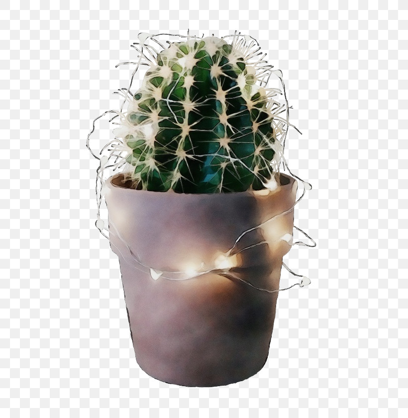 Cactus, PNG, 568x840px, Watercolor, Cactus, Caryophyllales, Flower, Flowerpot Download Free
