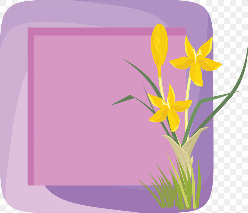 Flower Photo Frame Flower Frame Photo Frame, PNG, 3000x2582px, Flower Photo Frame, Biology, Crocus, Floral Design, Flower Frame Download Free