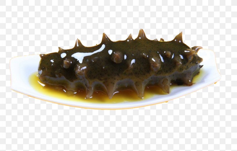Sea Cucumber As Food Seafood, PNG, 1024x655px, Sea Cucumber As Food, Chinese Food Therapy, Conpoy, Cucumber, Dish Download Free