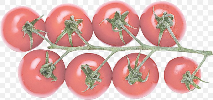 Tomato, PNG, 1356x640px, Tomato, Bush Tomato, Cherry Tomatoes, Food, Fruit Download Free