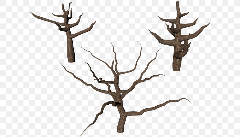 Tree Branch Silhouette, PNG, 627x467px, Trunk, Antler, Barren Ground Caribou, Branch, Deer Download Free