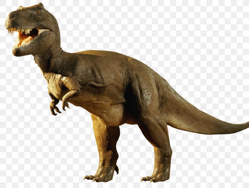 Tyrannosaurus Dinosaur Edmontosaurus Diplodocus Antarctosaurus, PNG, 1549x1169px, Tyrannosaurus, Animal Figure, Antarctosaurus, Art, Cretaceous Download Free