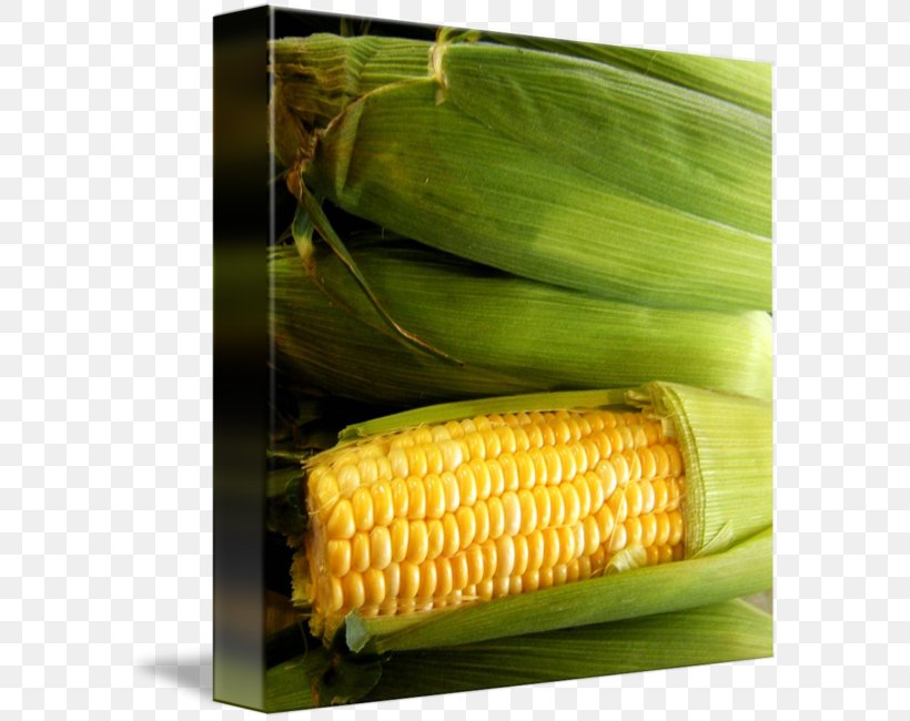 Corn On The Cob Sweet Corn Maize Natural Foods, PNG, 589x650px, Corn On The Cob, Commodity, Food, Food Grain, Ingredient Download Free