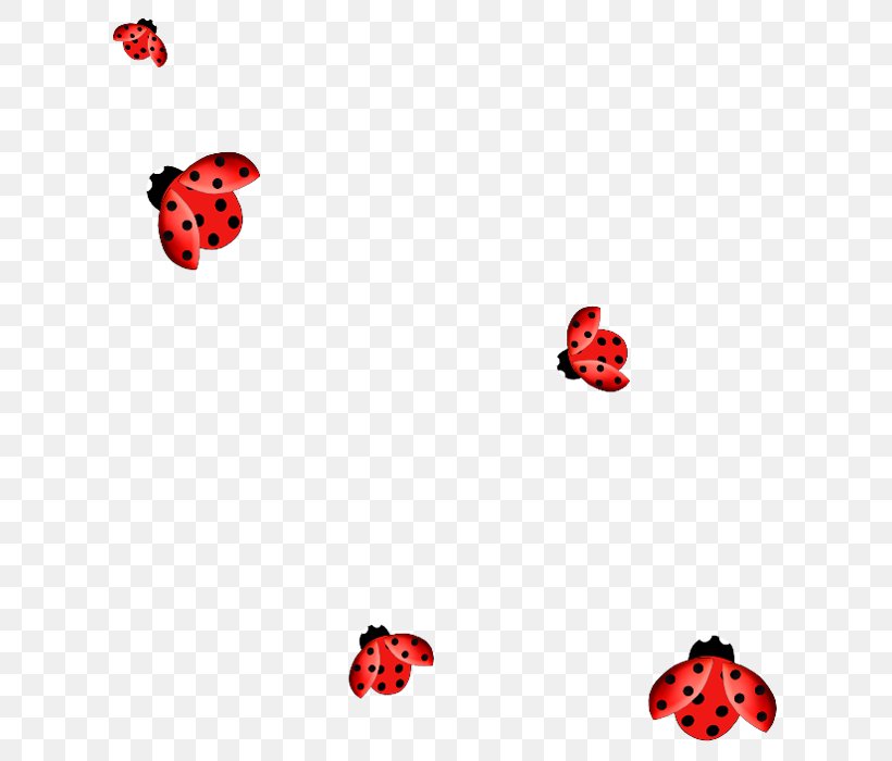 Ladybird Beetle Clip Art, PNG, 644x700px, Ladybird, Area, Beetle, Heart, Information Download Free