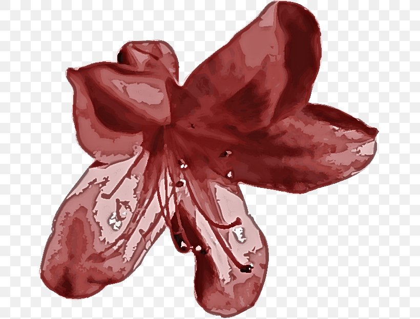 Pink Red Petal Flower Plant, PNG, 667x623px, Pink, Amaryllis Belladonna, Azalea, Flower, Flowering Plant Download Free