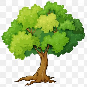 Tree Euclidean Vector Illustration, PNG, 532x666px, Tree, Art, Branch ...