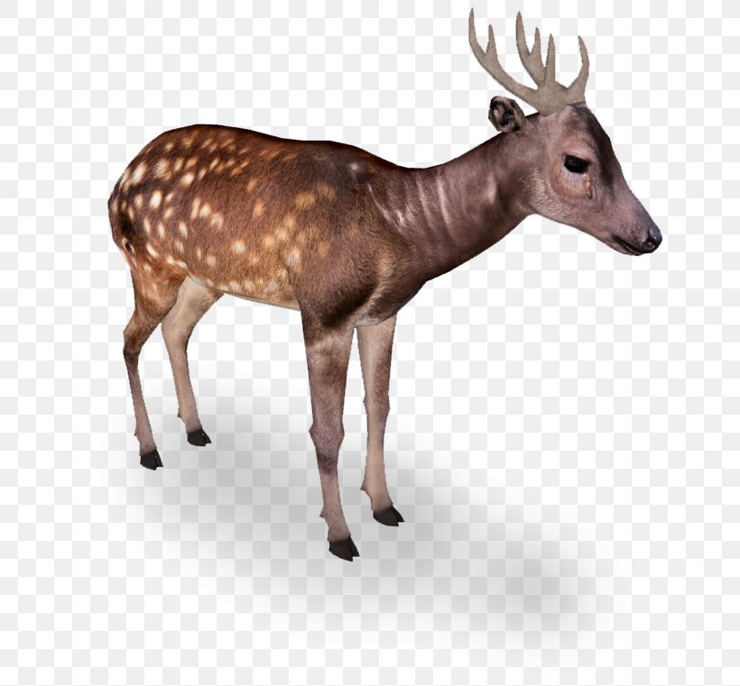 Zoo Tycoon 2 Reindeer Elk White-tailed Deer, PNG, 654x761px, Zoo Tycoon 2, Animal, Antelope, Antler, Choeropsis Download Free