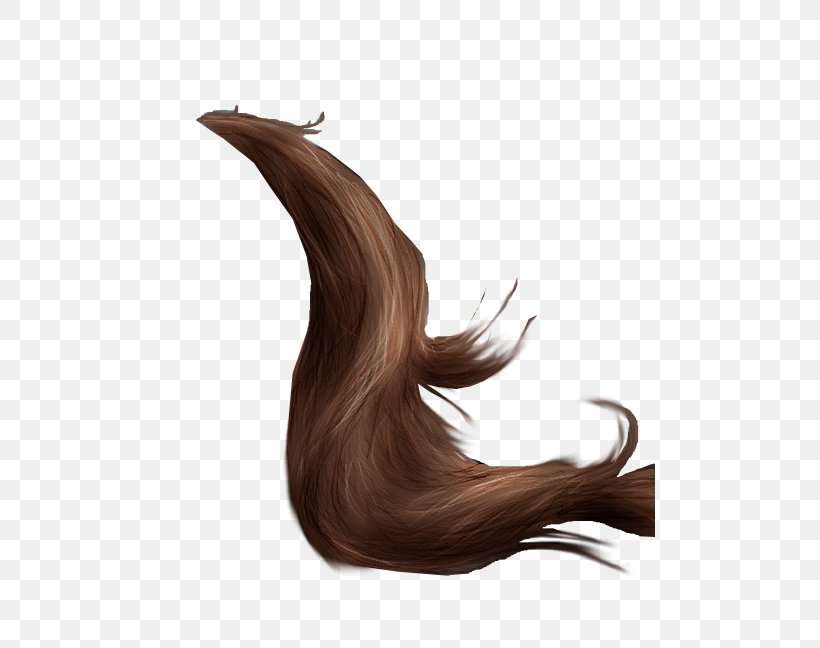 Horse Grooming Tail Mane Drawing, PNG, 490x648px, Horse, Brown, Brown Hair, Drawing, Equestrian Download Free