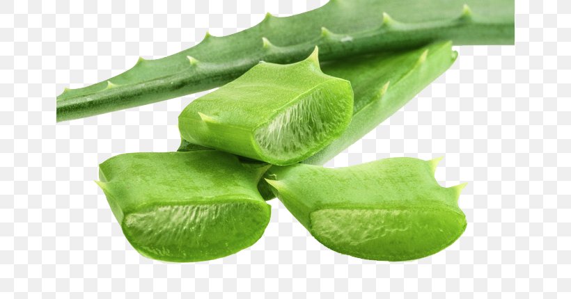 Aloe Vera Gel Facial Plant Skin, PNG, 658x430px, Aloe Vera, Aloe, Commodity, Cosmetics, Extract Download Free