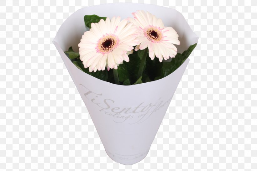 Cut Flowers Transvaal Daisy Floristry Flowerpot, PNG, 900x600px, Cut Flowers, Color, Floristry, Flower, Flower Bouquet Download Free
