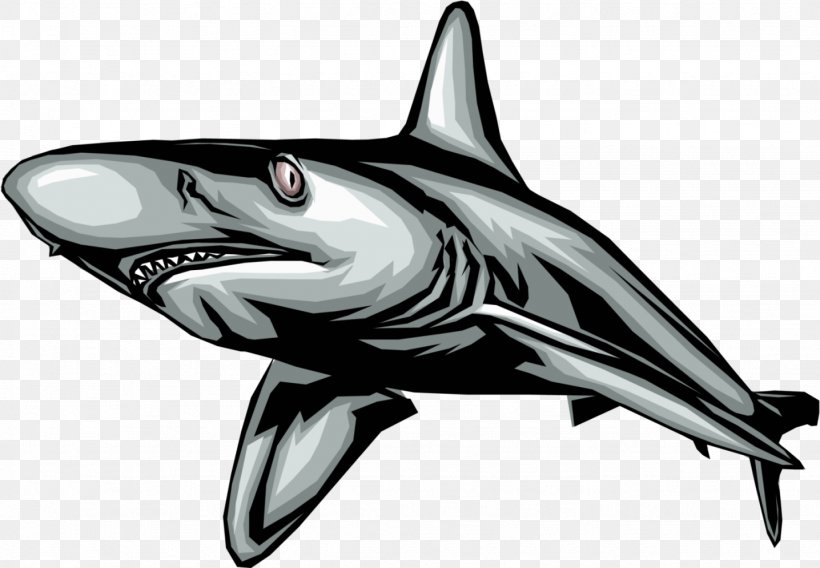 Great White Shark Royalty-free Clip Art, PNG, 1436x995px, Shark, Automotive Design, Black And White, Blue Shark, Bull Shark Download Free