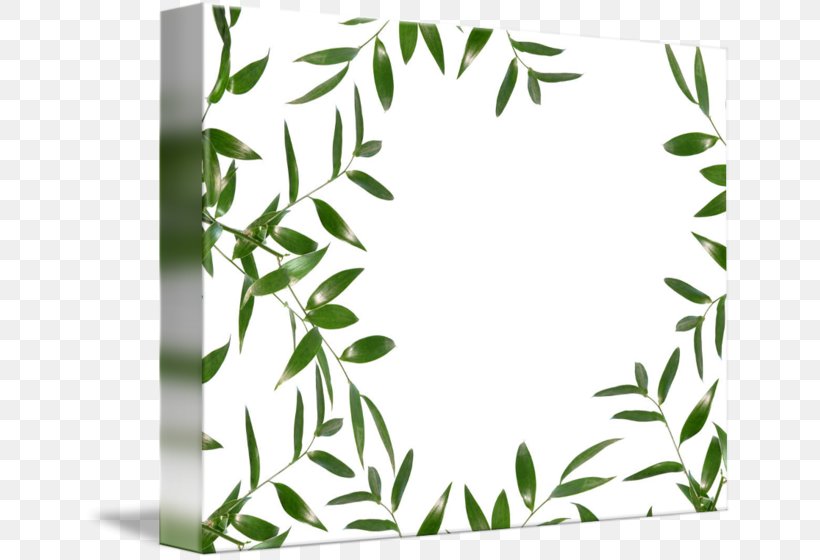 Twig Leaf Plant Stem Picture Frames, PNG, 650x560px, Twig, Branch, Flora, Flower, Garden Download Free
