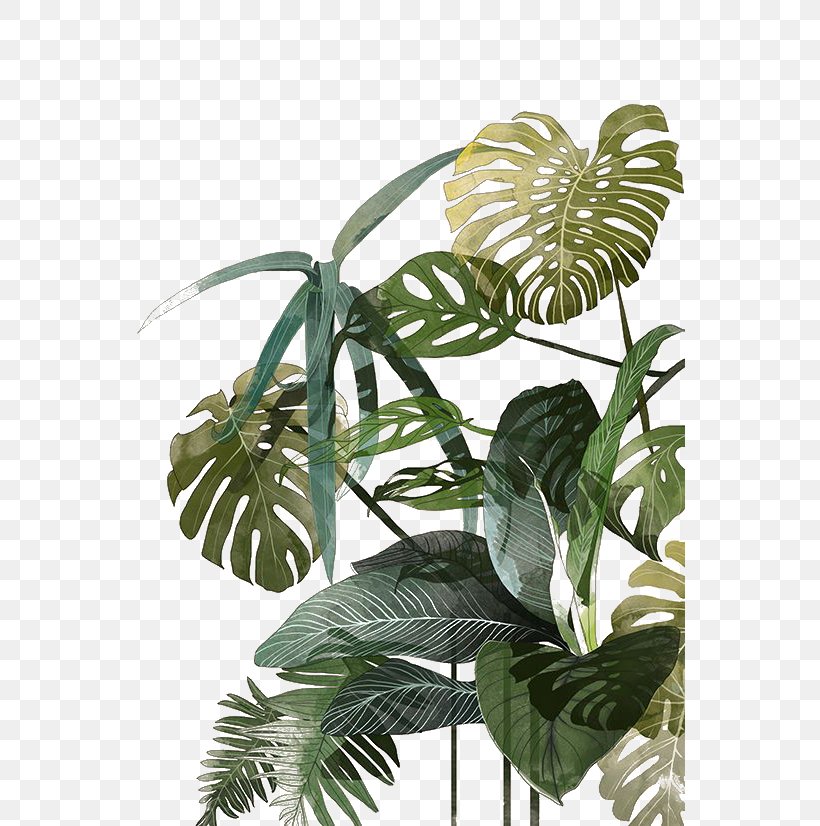 Botanical Illustration Drawing Watercolor Painting Tropics Illustration, PNG, 550x826px, Botanical Illustration, Art, Botany, Branch, Drawing Download Free