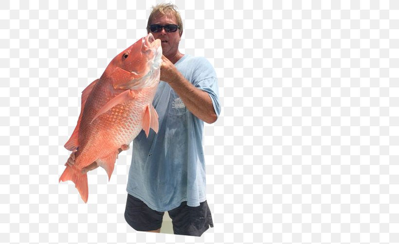 09777 T-shirt Salmon Northern Red Snapper Fishing, PNG, 637x503px, Tshirt, Bass, Bass Guitar, Fish, Fishing Download Free