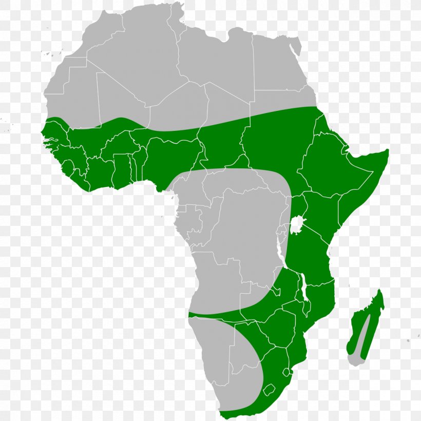 Africa World Map, PNG, 1200x1200px, Africa, Blank Map, Continent, Grass, Green Download Free
