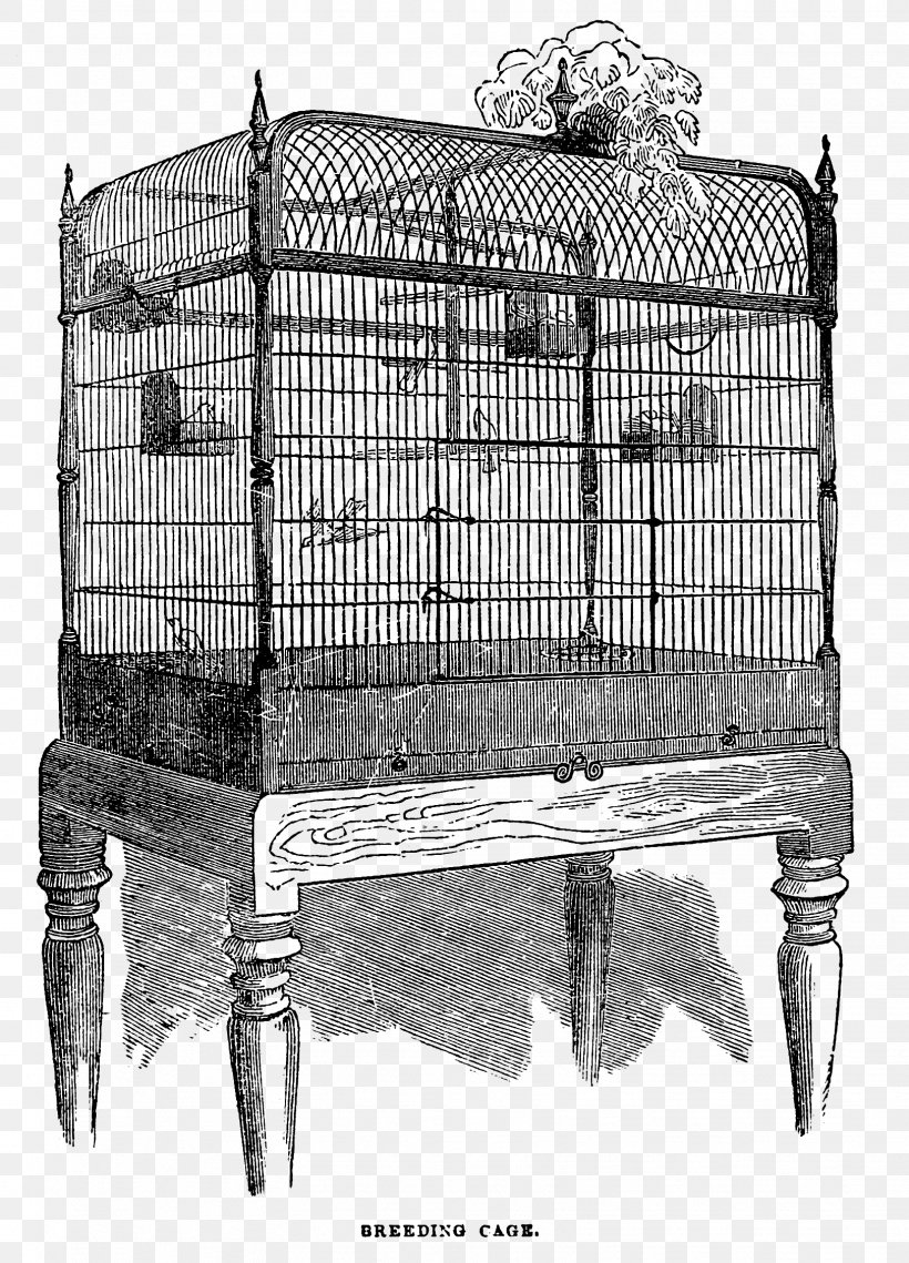 Birdcage Birdcage Domestic Canary Clip Art, PNG, 1624x2256px, Bird, Art, Aviary, Bird Food, Bird Nest Download Free