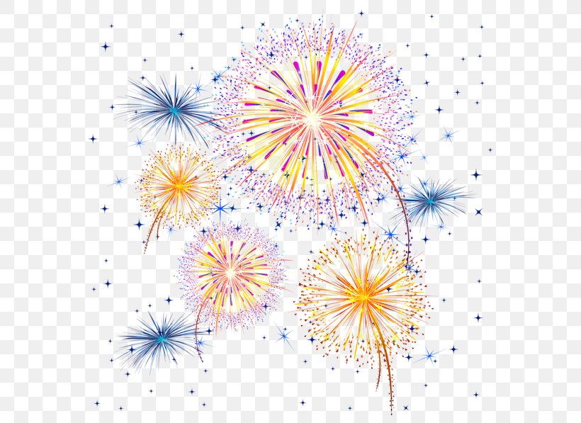 Fireworks Clip Art, PNG, 600x597px, Fireworks, Adobe Fireworks, Flower, Flowering Plant, Petal Download Free