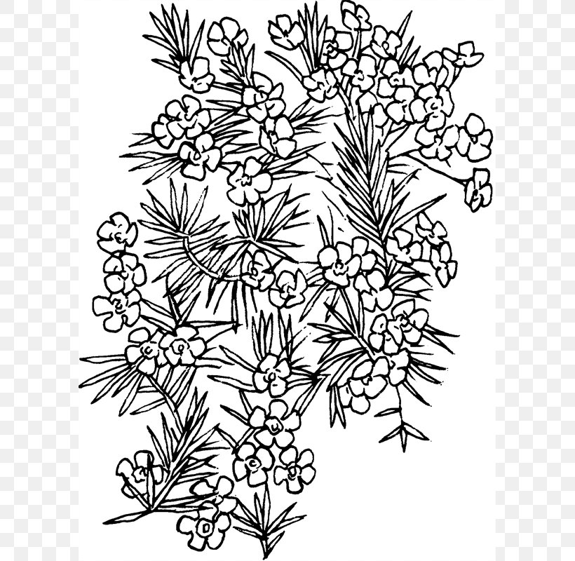 Floral Design Visual Arts Pattern, PNG, 800x800px, Floral Design, Area, Art, Black And White, Branch Download Free