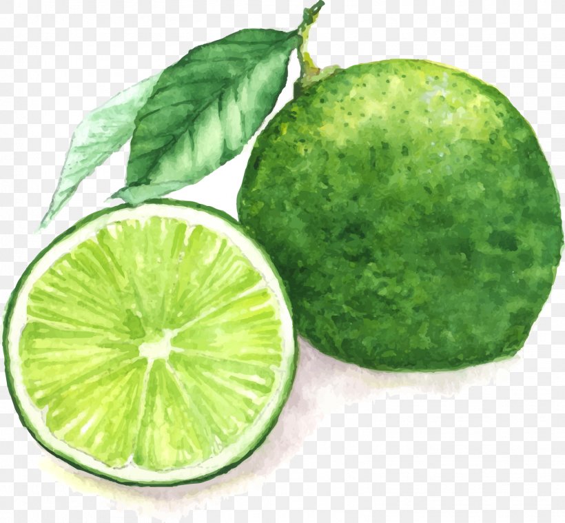 Juice Lemon Watercolor Painting Lime, PNG, 1567x1452px, Juice, Bitter Orange, Citric Acid, Citron, Citrus Download Free