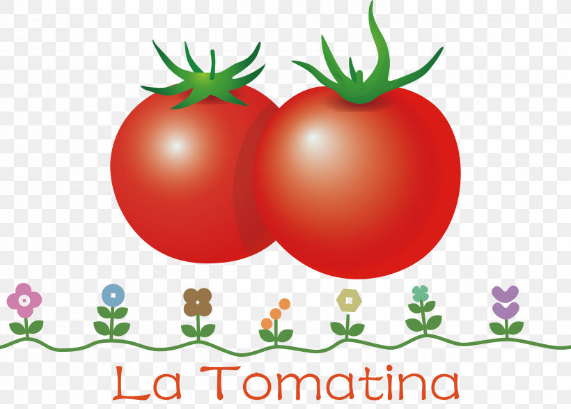 La Tomatina Tomato Throwing Festival, PNG, 3000x2150px, La Tomatina, Bush Tomato, Datterino Tomato, Flower, Local Food Download Free