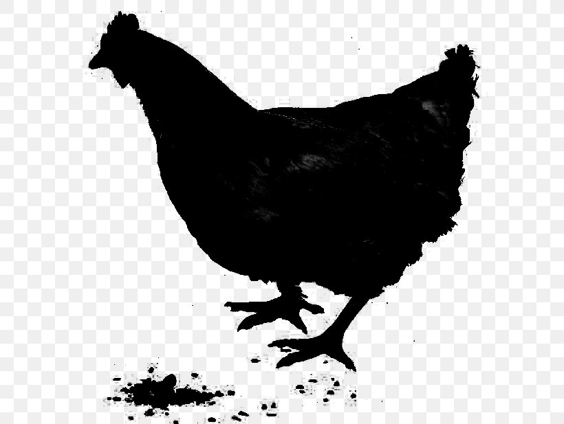 Rooster Chicken As Food Fauna Silhouette, PNG, 600x617px, Rooster, Art, Beak, Bird, Blackandwhite Download Free