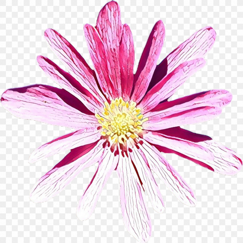 Flower Petal Pink Plant Barberton Daisy, PNG, 895x895px, Flower, Barberton Daisy, Daisy Family, Gerbera, Petal Download Free