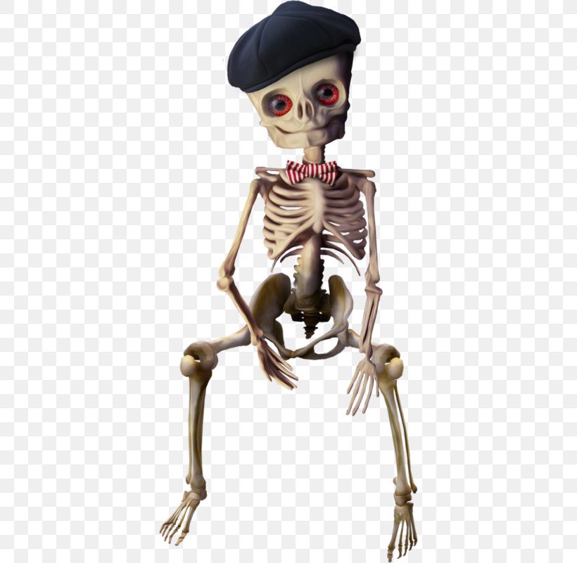 Human Skeleton Clip Art, PNG, 368x800px, Skeleton, Bone, Drawing, Figurine, Halloween Download Free