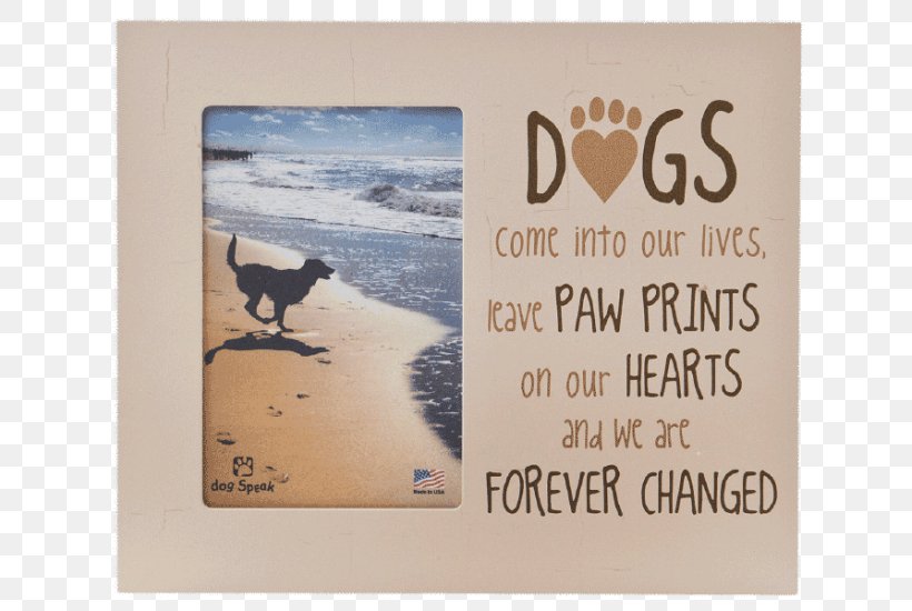 Paw Cat Pet Airedale Terrier Picture Frames, PNG, 733x550px, Paw, Airedale Terrier, Brand, Cat, Dog Download Free