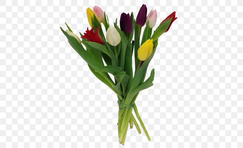 Tulip Cut Flowers Flower Bouquet Floristry, PNG, 500x500px, Tulip, Color, Cut Flowers, Floral Design, Floristry Download Free
