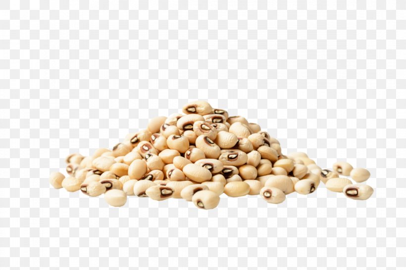 Black-eyed Pea Stock Photography Royalty-free, PNG, 1170x780px, Blackeyed Pea, Bean, Commodity, Cowpea, Food Download Free