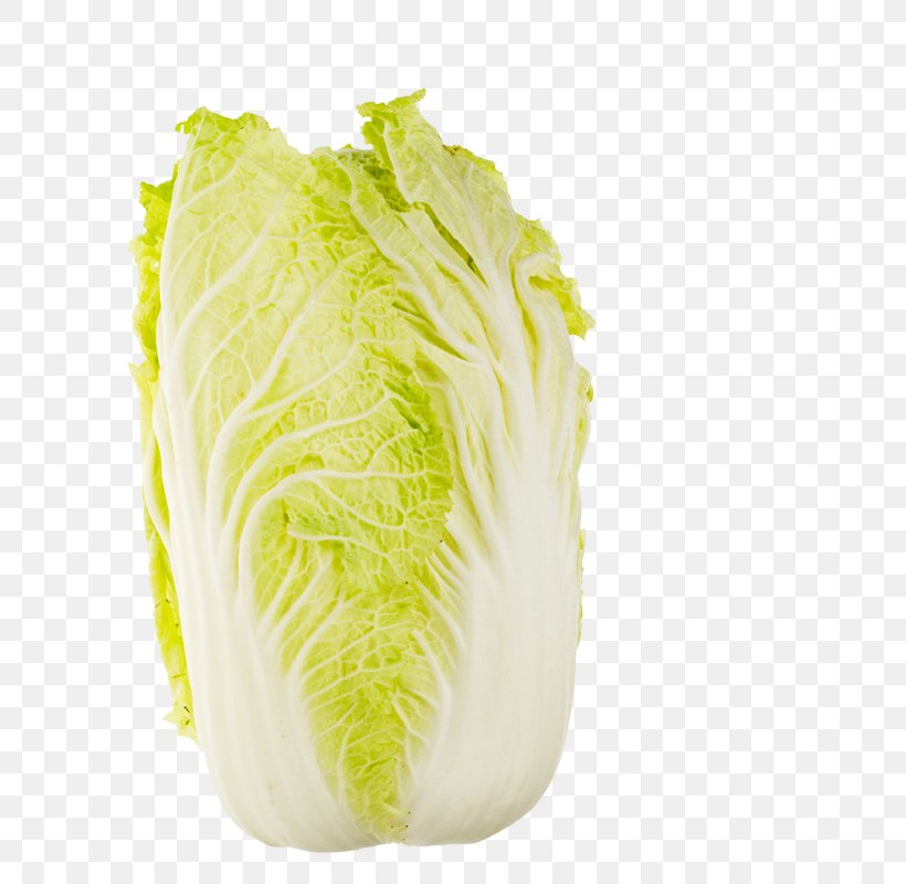 Chinese Cabbage Romaine Lettuce Napa Cabbage Chinese Cuisine, PNG, 800x800px, Thai Cuisine, Cabbage, Chinese Cabbage, Chinese Cuisine, Cooking Download Free
