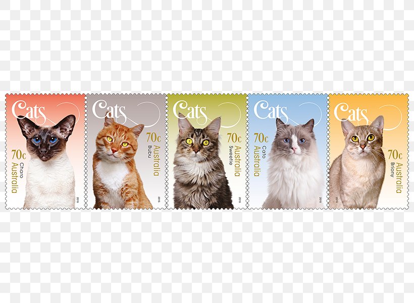 Kitten Postage Stamps Australia Philately Stamp Collecting, PNG, 800x600px, Kitten, Australia, Carnivoran, Cat, Cat Like Mammal Download Free