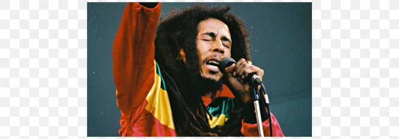 Musician Reggae Bob Marley And The Wailers Song, PNG, 1100x384px, Watercolor, Cartoon, Flower, Frame, Heart Download Free