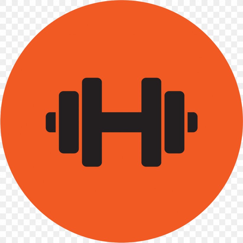 Physical Fitness Exercise Equipment Fitness Centre, PNG, 1024x1024px, Physical Fitness, Brand, Dumbbell, Exercise, Exercise Equipment Download Free