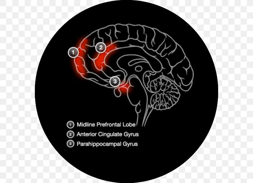 Prospective Memory Brain Cognitive Training Memory Improvement, PNG, 594x594px, Watercolor, Cartoon, Flower, Frame, Heart Download Free